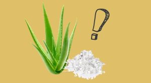 Silver and Aloe Vera - this is what you need to know!